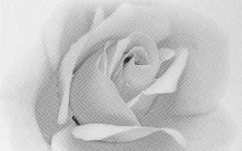 Декор Камелия черная 02  250*400 Шахтинская плитка *1/13