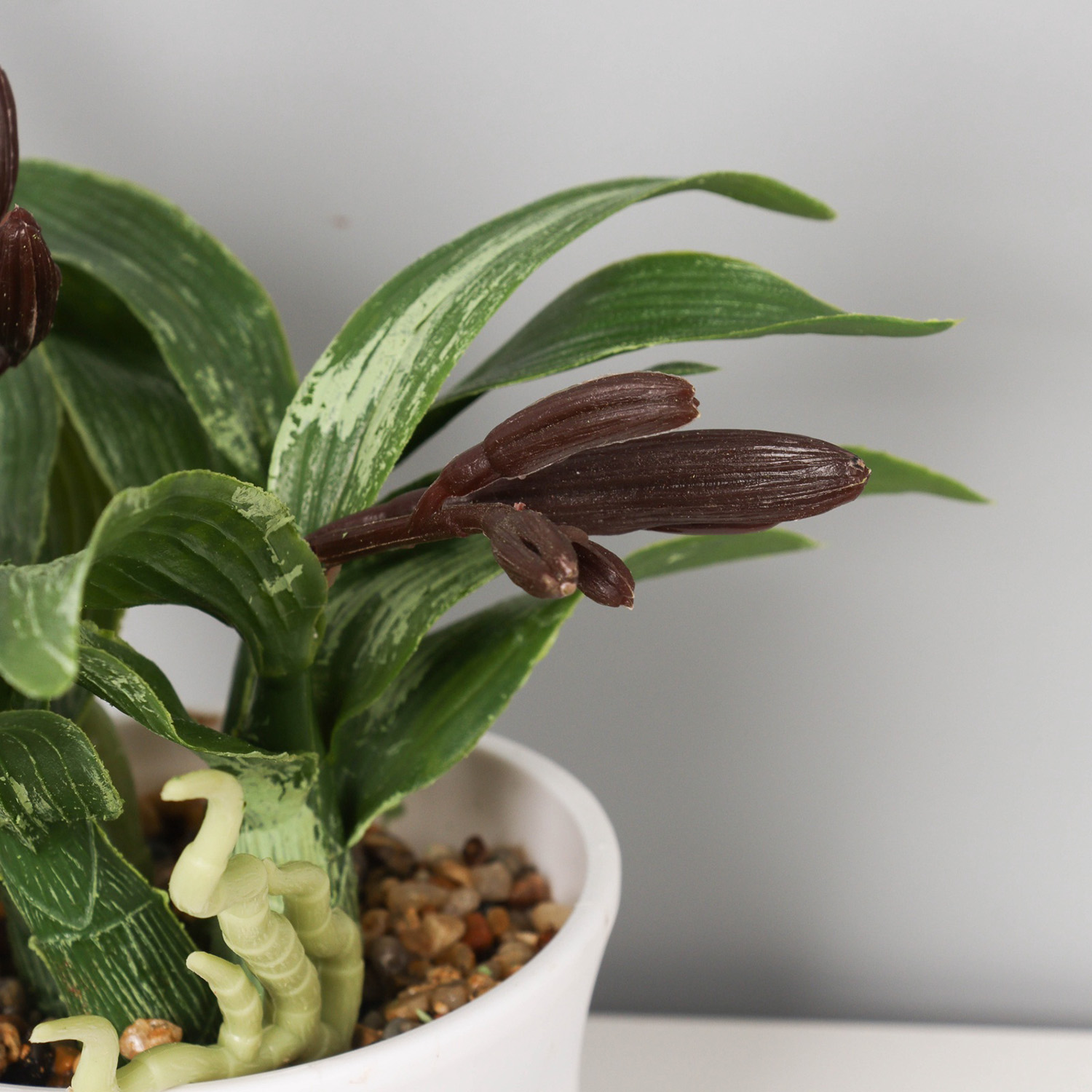 Бонсай в горшке "Ирис мини галант" 19х11 см, микс   10697904