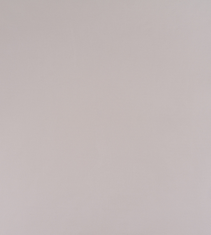 Обои флиз. Артекс EcoLine Дельта 10861-07 10х1.06м  *1/6