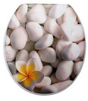 Сиденье для унитаза Delphinium Фантазия, 41х36х4 см, бежевый Сиденье для унитаза Delphinium Фантазия, 41х36х4 см, бежевый