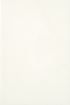 Плитка настенная Белая Матовая Люкс 300*600 (0,18*9=1,62*32) ВКЗ