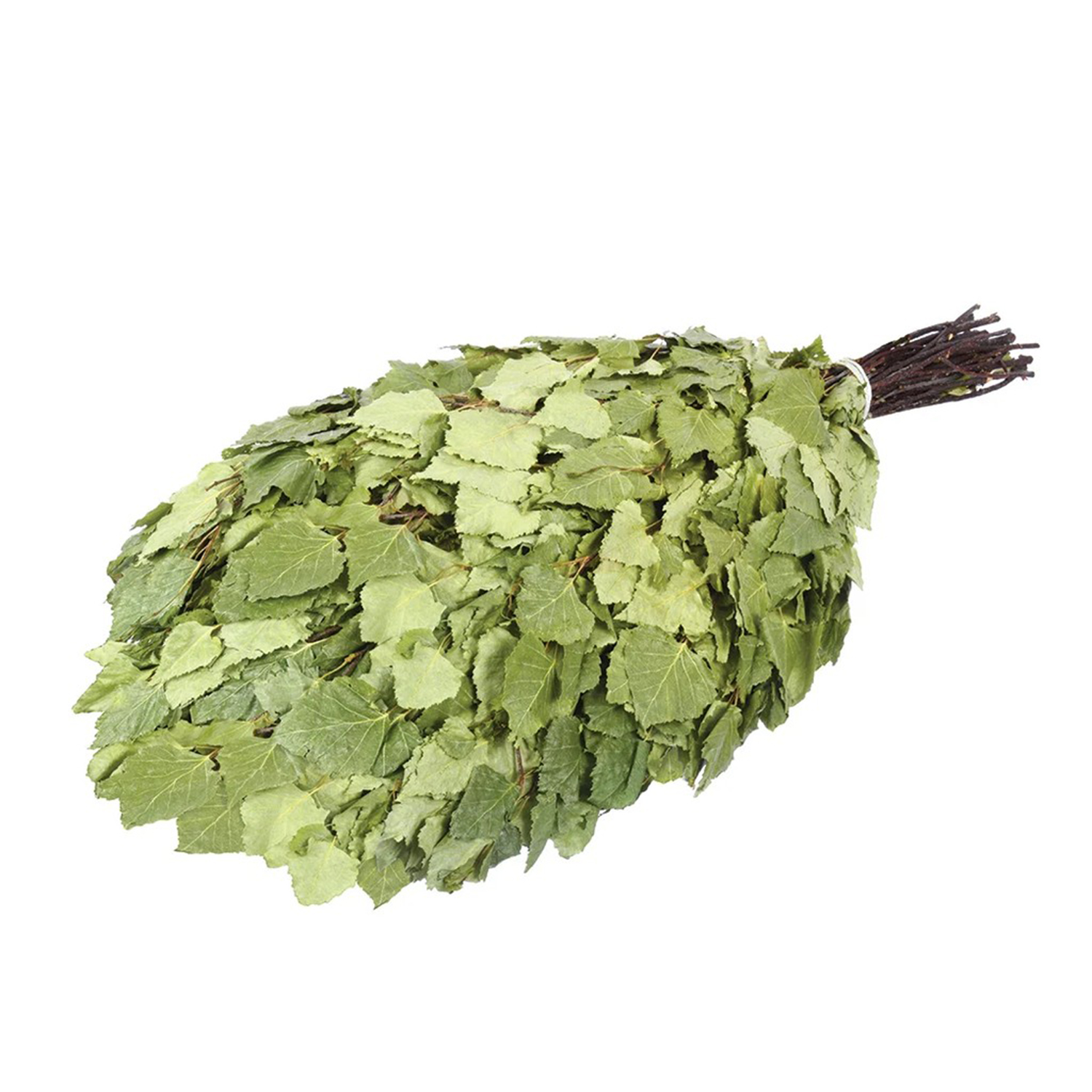 Веник березовый в уп. "Банные штучки" (отгрузка кратно 25 шт.) /25