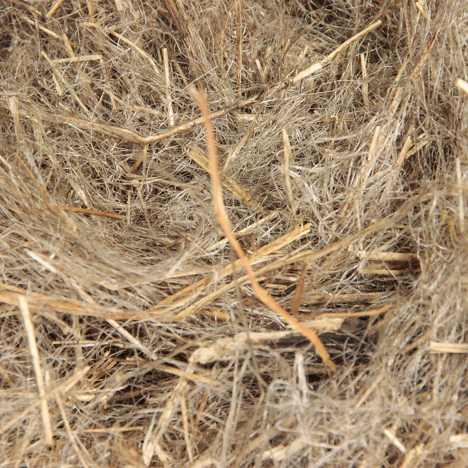 Пакля льняная 10 кг