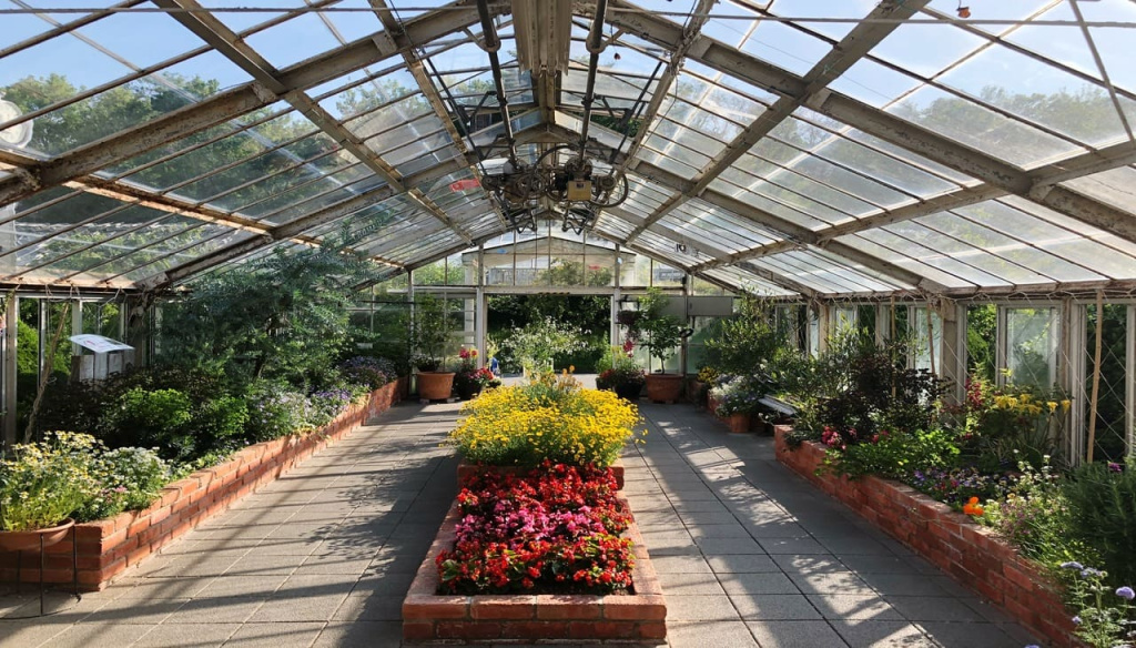 rastenia-v-gorskah-v-teplice (2).jpg