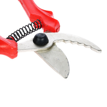 Секатор L-220мм, никелированное покрытие, зубчатый, картонный подвес d-10мм. (С-41- 5Н) *1/30