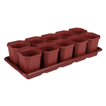 Набор стаканов 300 мл для рассады, 10 шт., поддон 41х17х3.5 см, пластик, коричневый