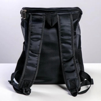 Рюкзак для переноски животных "В любом месте - веселее вместе" 31*23*30 см  4983426