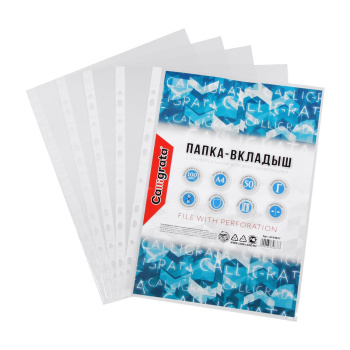 Файл-вкладыш А4, Calligrata, глянцевый, вертикальный, 100 штук, эконом Файл-вкладыш А4, Calligrata, глянцевый, вертикальный, 100 штук, эконом