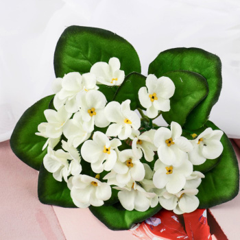 Букет "Герань душистая" белая 4*17 см, 4642692