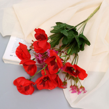 Букет "Нимезия галант" 5х27 см, микс  9222776