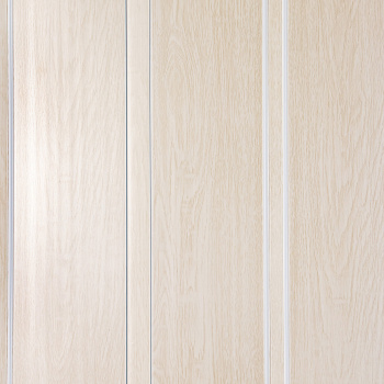 Дверь раздвижная 2050х840 мм РСП "Комфорт", пластик, белый глянец