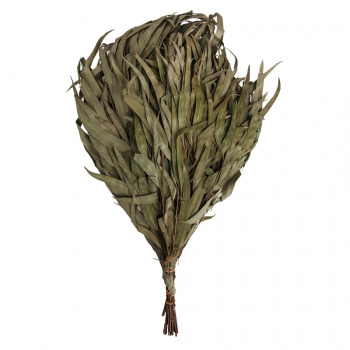 Веник эвкалиптовый в уп. "Банные штучки"/50