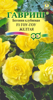 Бегония Гоу-Гоу желтая гранулы 4шт Гавриш *10