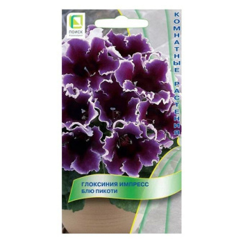Глоксиния Импресс Блю Пикоти 5шт/10 Поиск *10