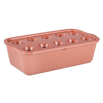 Лоток д/выращивания лука пластм. 305х160х85мм М6716 (ЗПИ "Альтернатива") *1/20