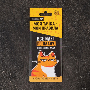 Ароматизатор бумажный "Все идет по плану" 4883359