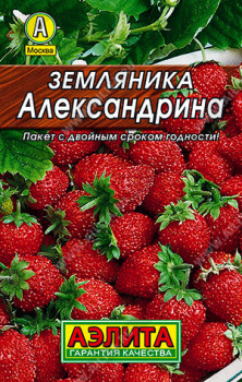 Семена Земляника Александрина  0,05гр Аэлита Лидер *10/200 Семена Земляника Александрина  0,05гр Аэлита Лидер *10/200