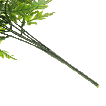 Букет "Филодендрон изящный" 27 см, зелёный  9499379