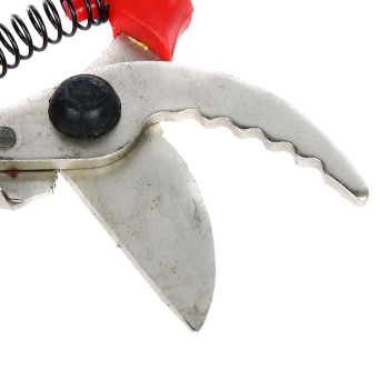 Секатор С-41-10Н никелированное покрытие, зубчатый, унифицир. защелка, картонный подвес 220мм *1/30