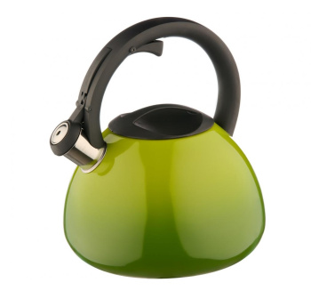 Чайник нерж. со свистком 2,8л д/ИНДУКЦ плит Оливковый КТ-138LG "Катунь" *1/12