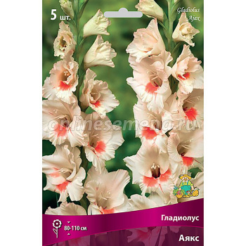Гладиолус Аякс 12-14/К 5шт