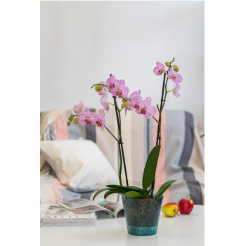 Кашпо пластм. "Manhattan Cristallo" 1,6л d верха 160мм h146мм со вставкой Изум.вода IG671110100*1/20