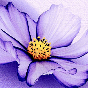 Панно из плитки Axima Виола, 800х560 мм, 4 плитки